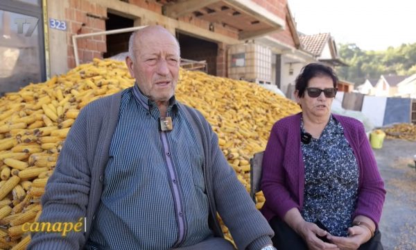 Iku në Gjermani dhe 34 vite e la gruan vet çifti nga Shtimja rrëfen si