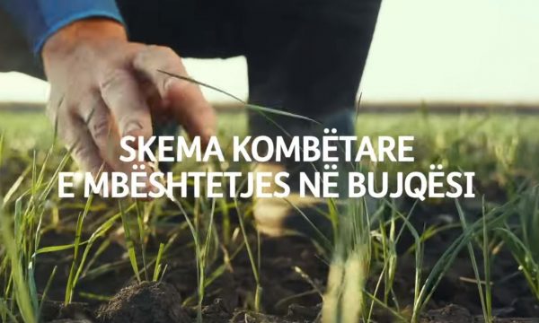 Skema Kombëtare E Mbështetjes, Rama: Sot Nisin Aplikimet Për Fermerët ...